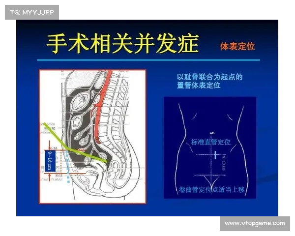 腰部组织在人体健康中的重要性与现代医学研究的进展分析